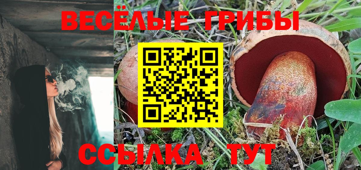 Луга  Галлюциногенные грибы GOLDEN TEACHER  где продают   Вход с VPN 