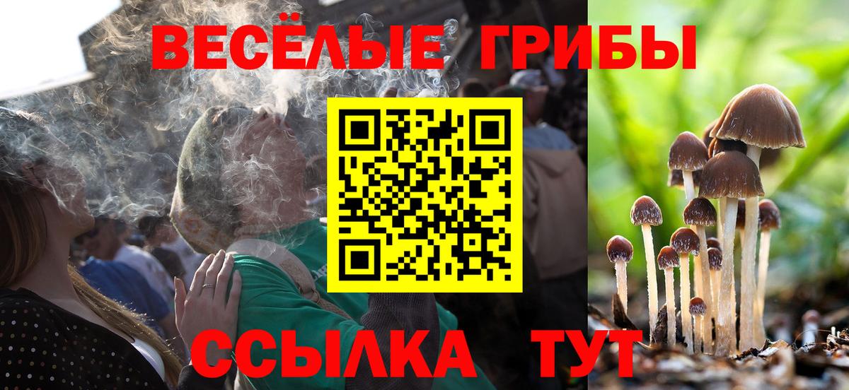 ГАШ Луга